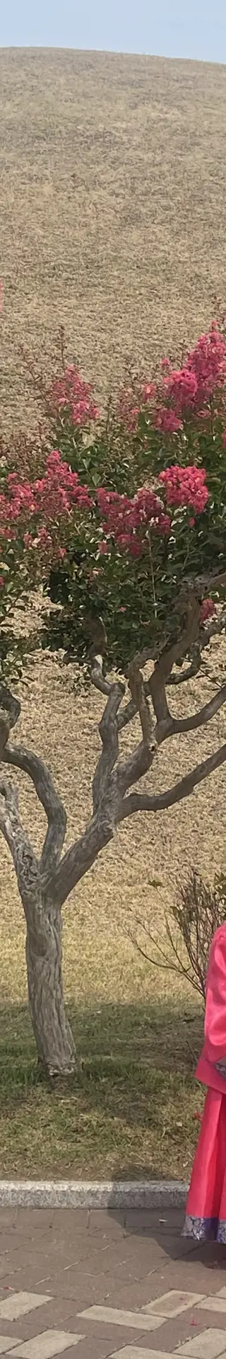 Die Grabstätten von Gyeongju